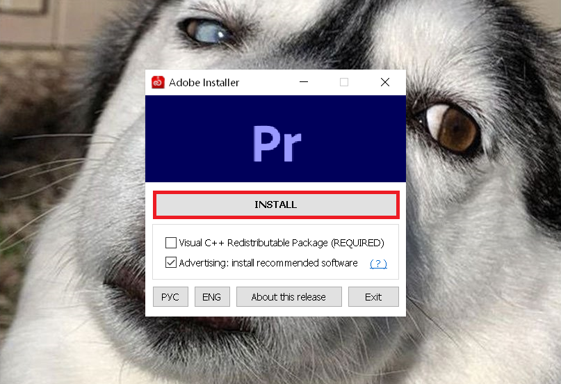 Adobe Premiere Pro cc 2023