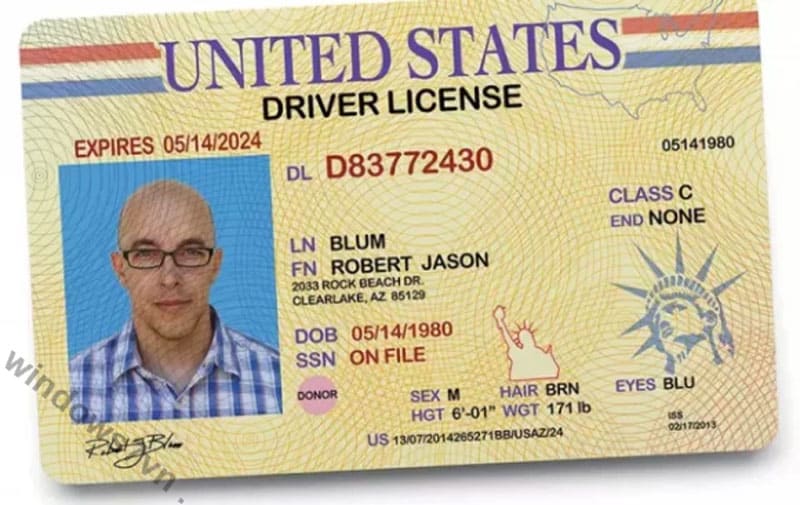 phôi bằng lái xe psd