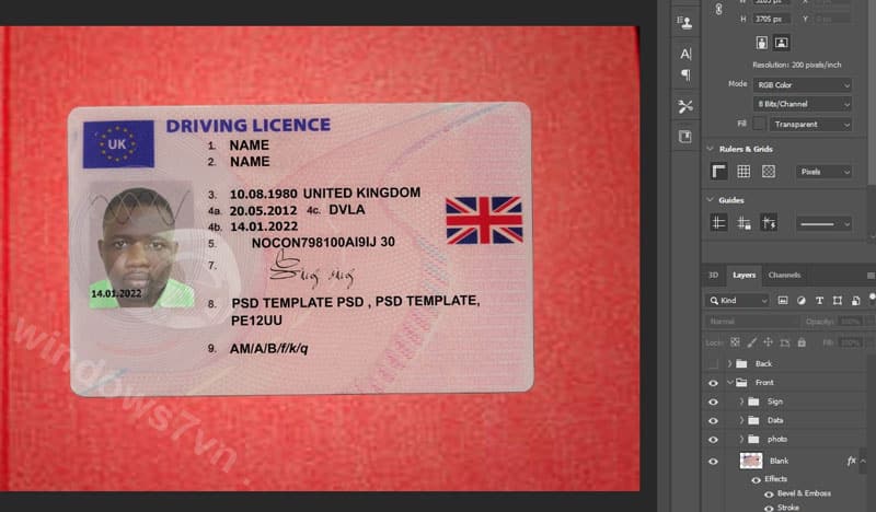 phôi bằng lái xe psd