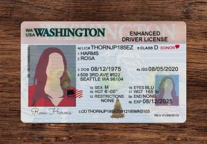 phôi bằng lái xe psd