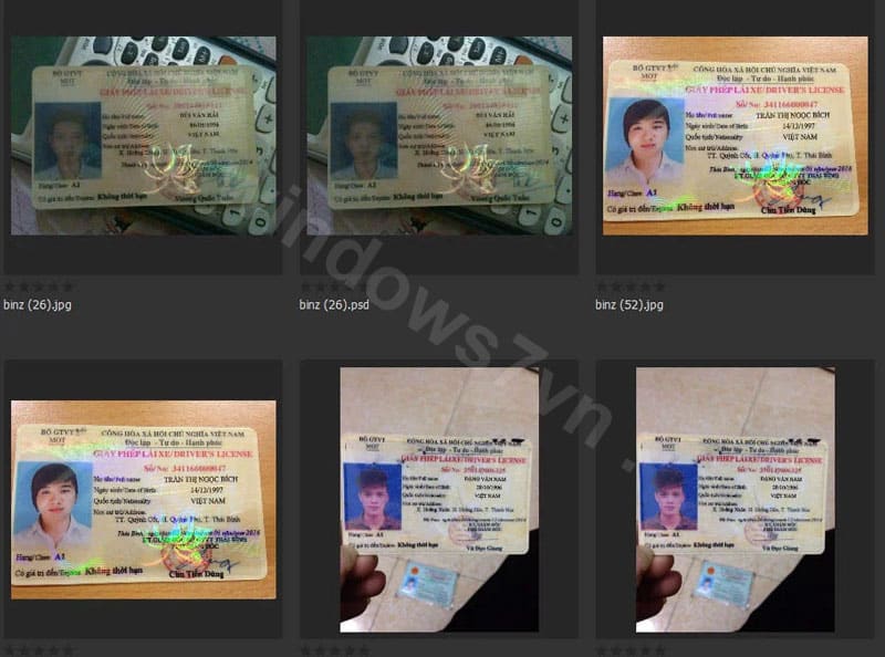 phôi bằng lái xe psd