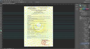 phôi giấy phép kinh doanh