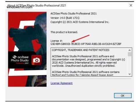 acdsee pro full crack